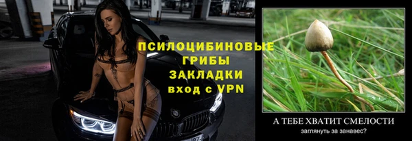 mdpv Арсеньев