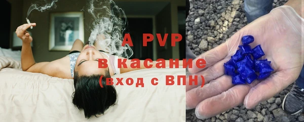 ПСИЛОЦИБИНОВЫЕ ГРИБЫ Ладушкин