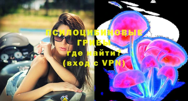 mdpv Арсеньев