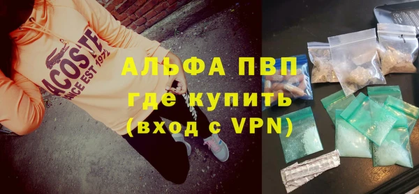 ПСИЛОЦИБИНОВЫЕ ГРИБЫ Ладушкин