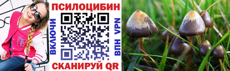 цена наркотик  blacksprut   Псилоцибиновые грибы мухоморы  Миньяр 